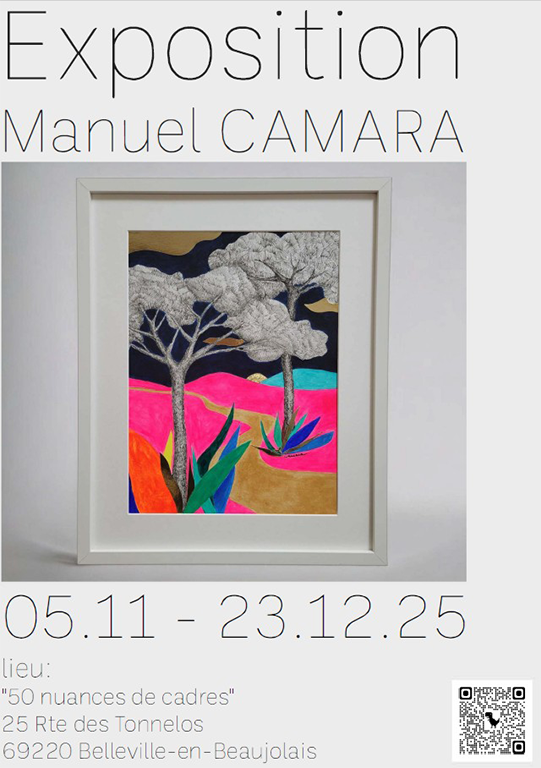 affiche expo 50 nuances de cadres